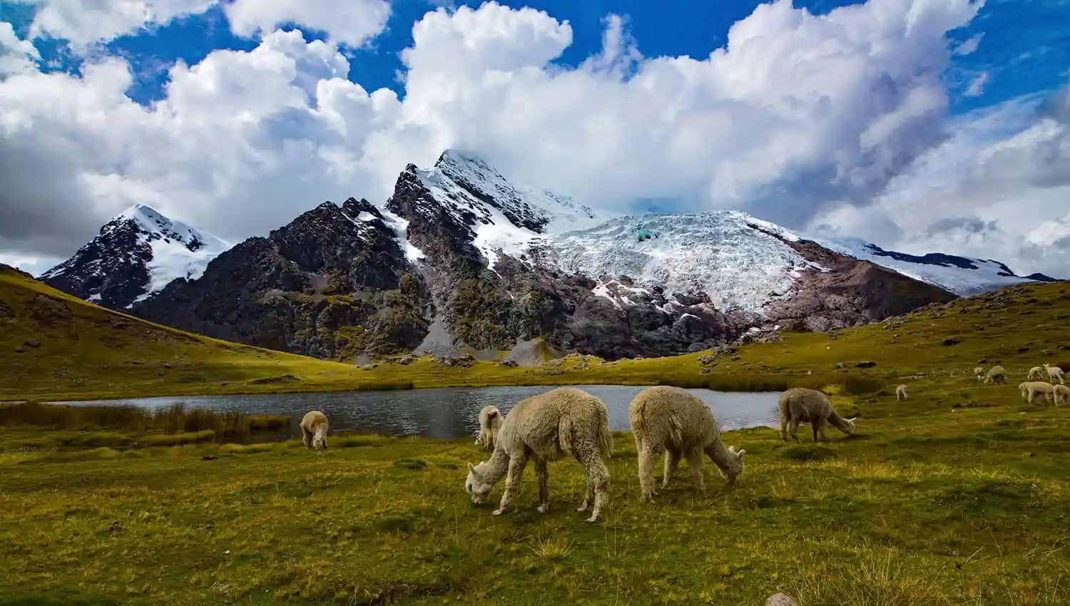 Lares Trek and Short Inca Trail