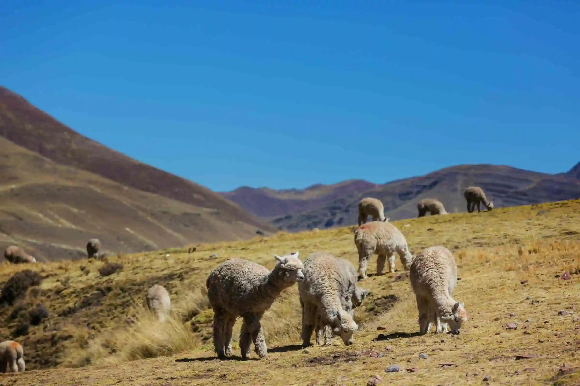atv tour sacred valley