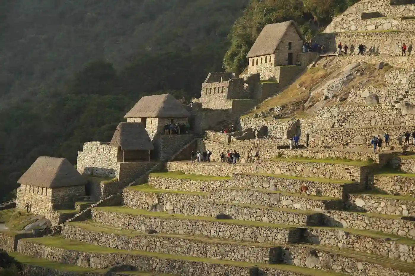 7 Day Machu Picchu tour cusco