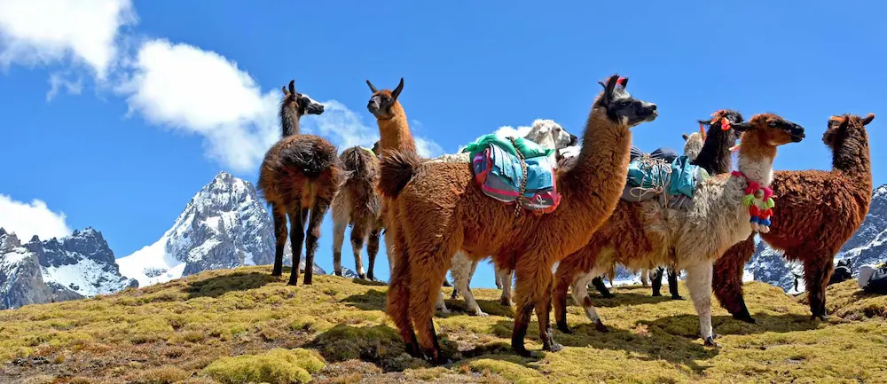 lares treks FAQs