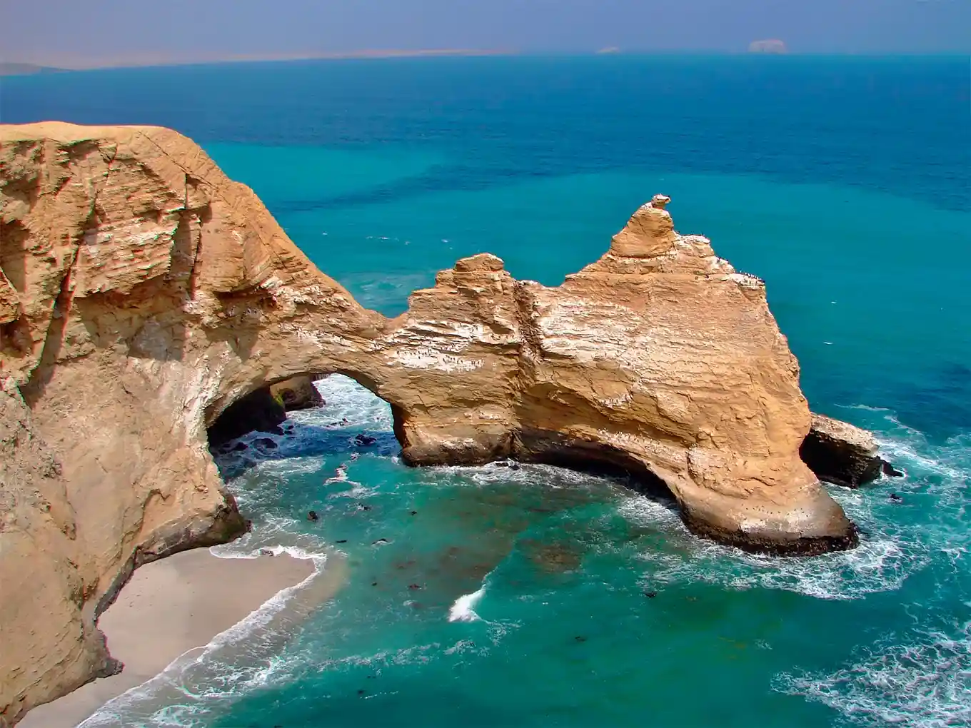 paracas in peru