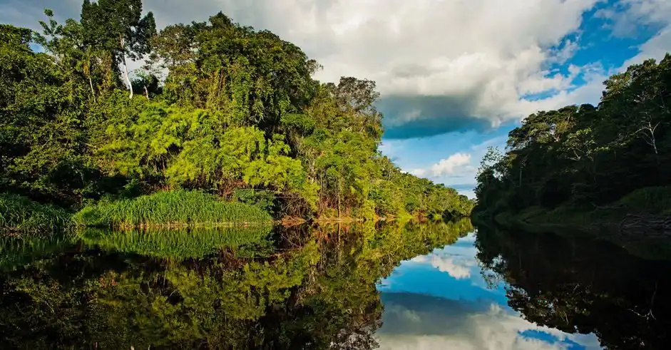 Iquitos 2 day Amazon tour