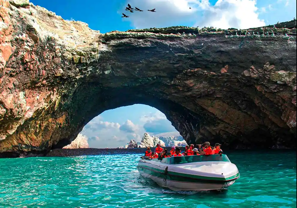 ballestas islands day trip from lima