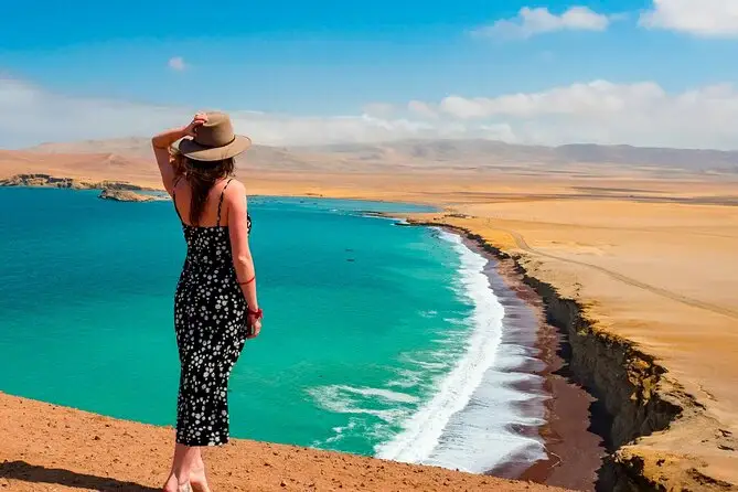 tour ballestas islands day trip from lima