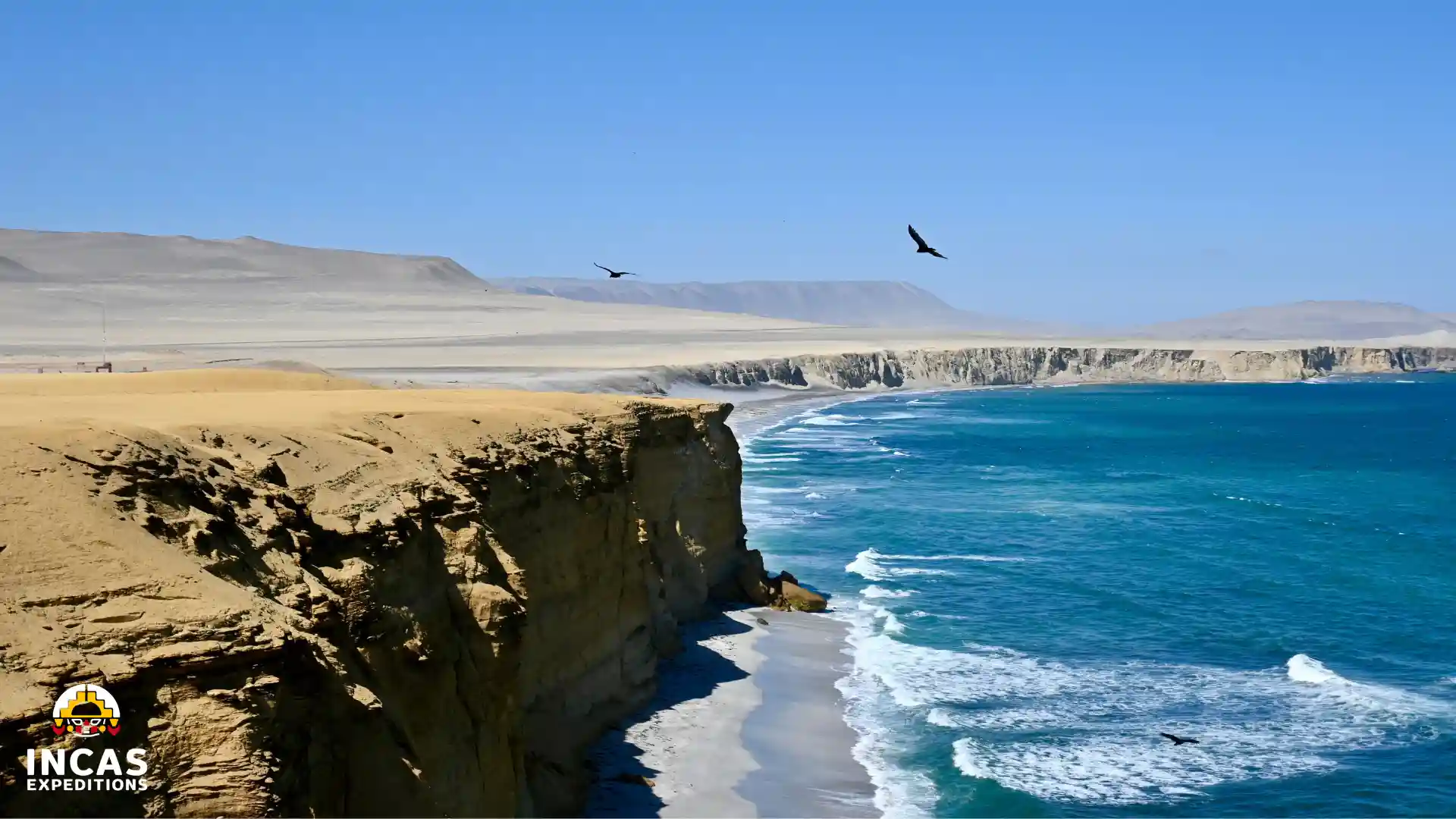 Beach circuit in the Paracas National Reserve