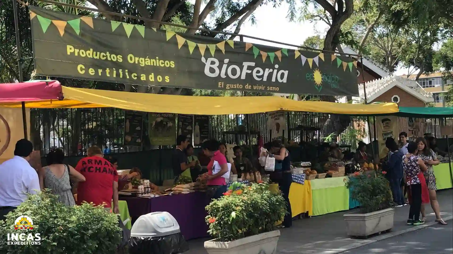 Bioferia lima