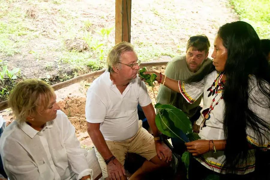 How Did Ayahuasca Become Known Around the World?