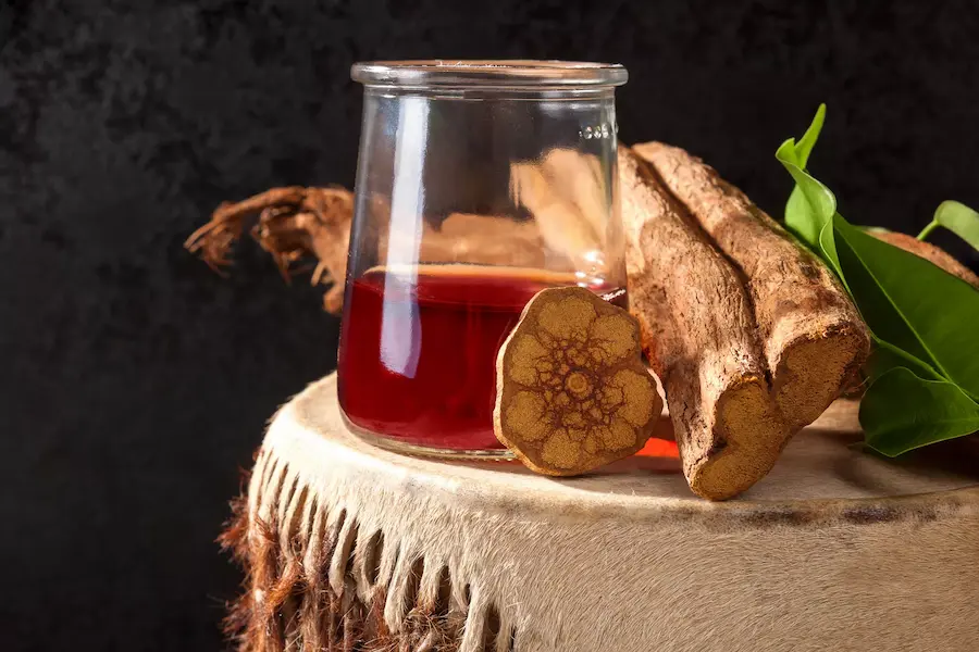 What Is Ayahuasca Made From?