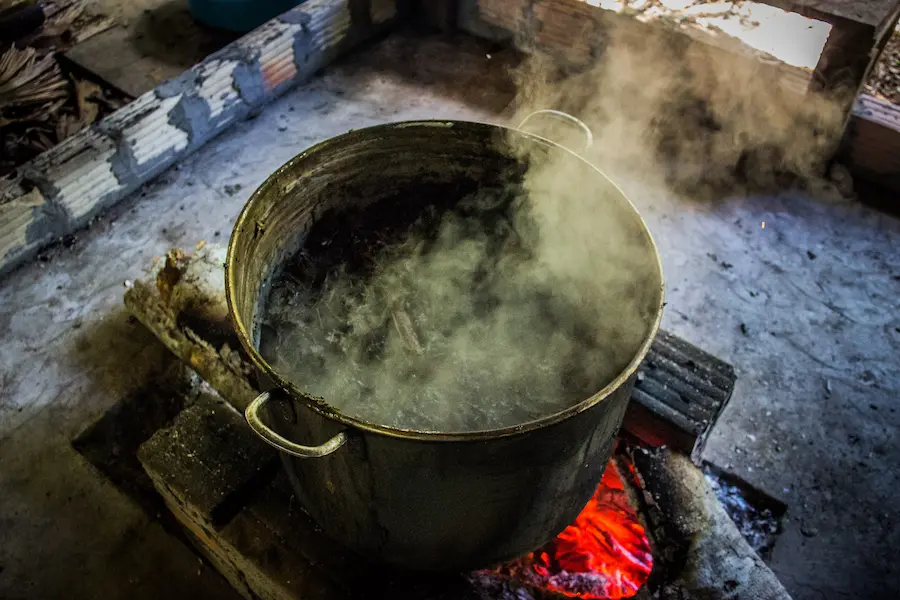Where Did Ayahuasca Originate?